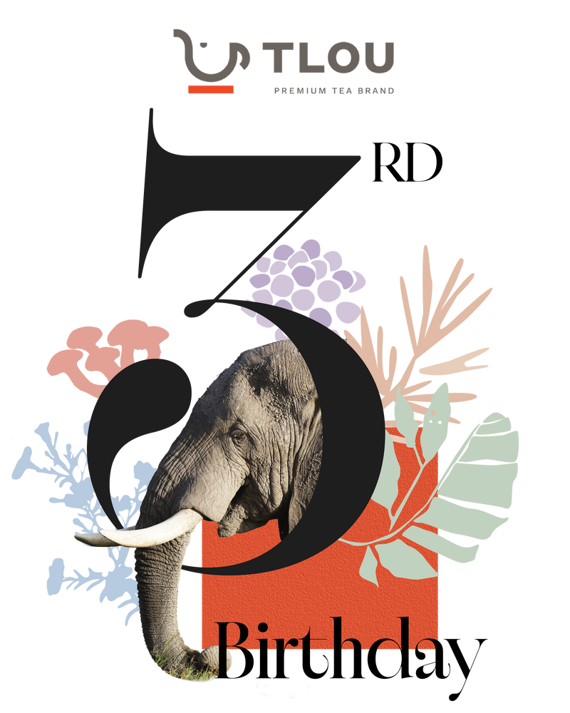 TLOU Birthday